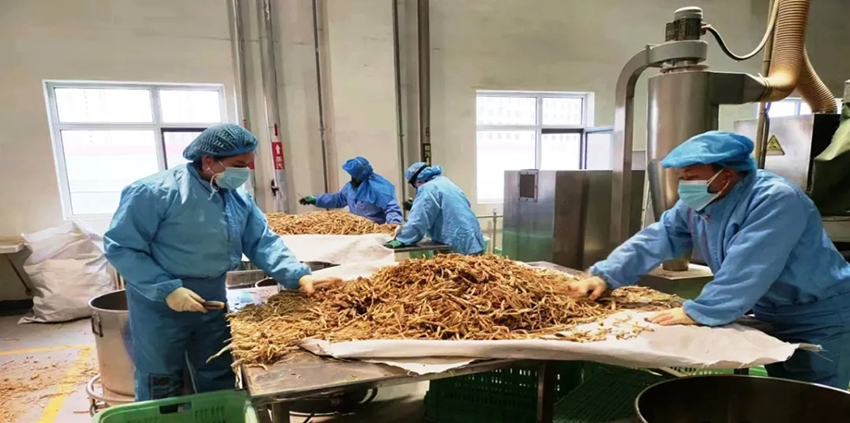 隴神戎發(fā)奮力沖刺一季度“開門紅”