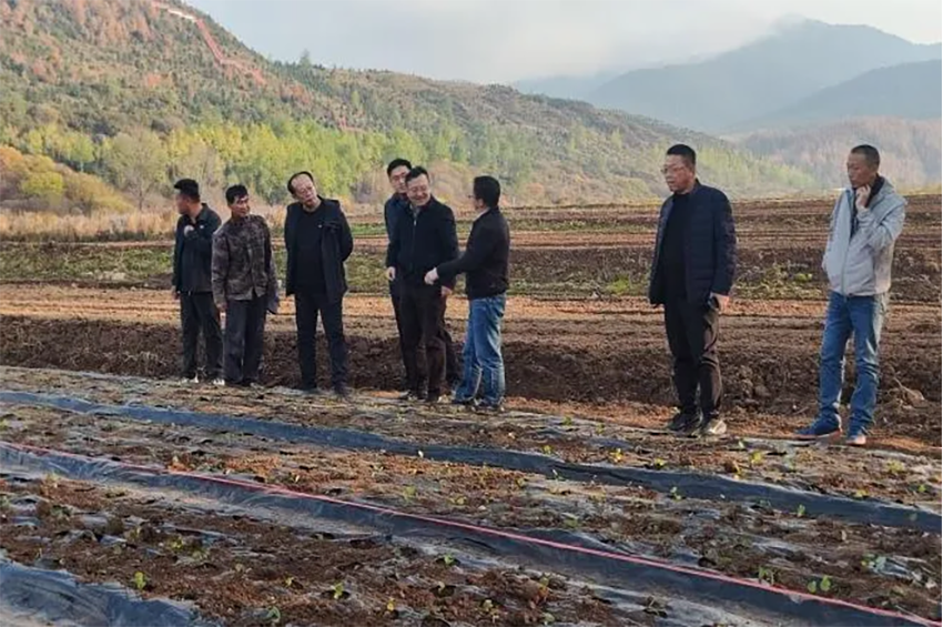 【集團(tuán)要聞】甘肅藥業(yè)投資集團(tuán)有限公司被確定為2024年度省級(jí)高技能人才培訓(xùn)基地建設(shè)項(xiàng)目單位