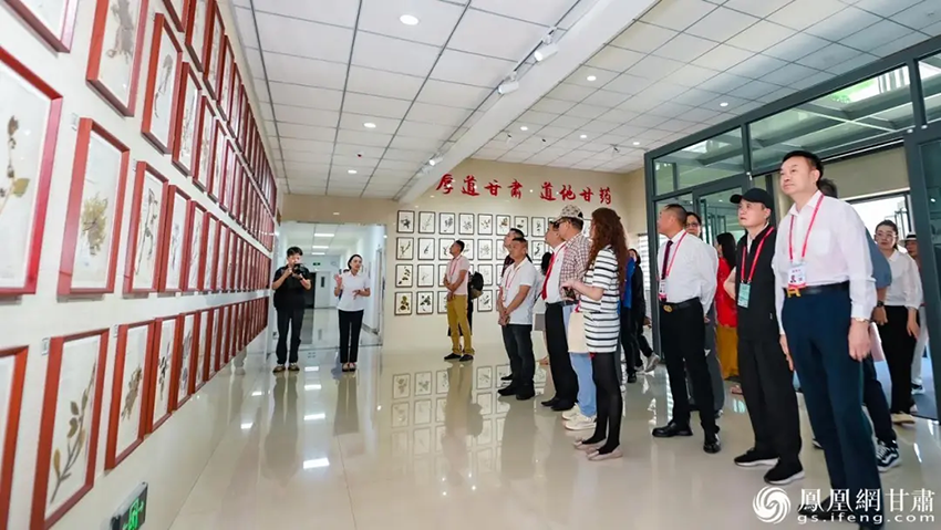 僑商探訪隴藥龍頭企業(yè) 以僑為橋拓中藥出海大道