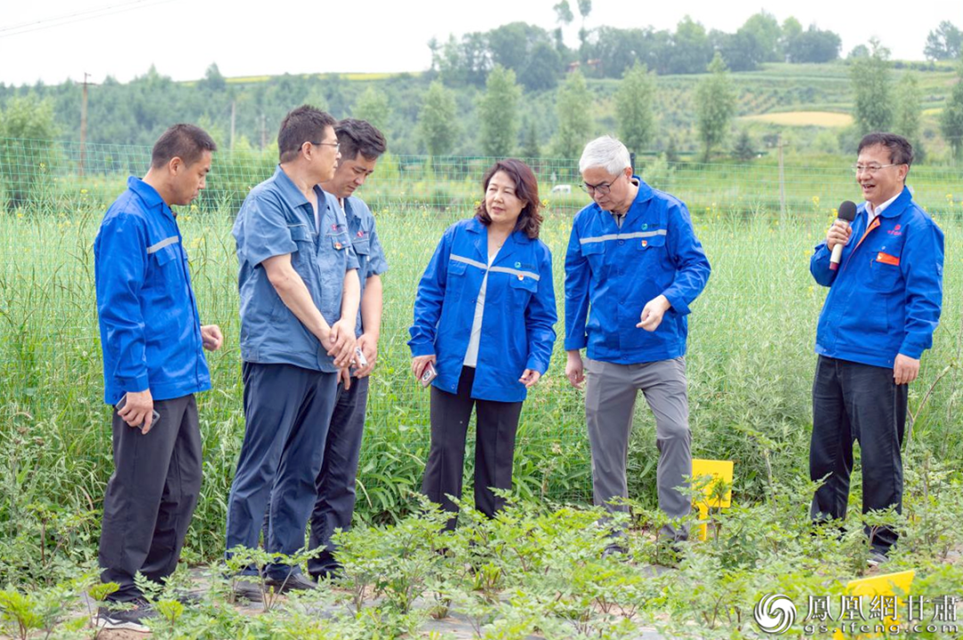 政企共建促發(fā)展 甘肅藥業(yè)集團(tuán)牽頭助力鄉(xiāng)村振興