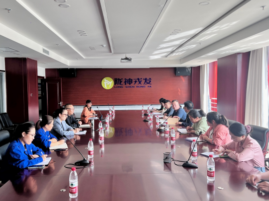 甘肅藥業(yè)投資集團工作組一行到隴神戎發(fā)開展研發(fā)費用專項檢查