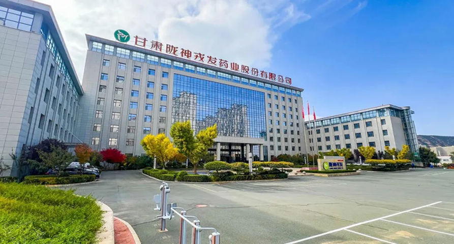 黨建引領(lǐng) 凝聚高質(zhì)量發(fā)展強勁動能——隴神戎發(fā)以“紅色引擎”驅(qū)動企業(yè)行穩(wěn)致遠(yuǎn)